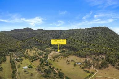 Lifestyle For Sale - NSW - Bulga - 2330 - "Glenrock" - A Historic Hunter Valley Homestead of Distinction  (Image 2)