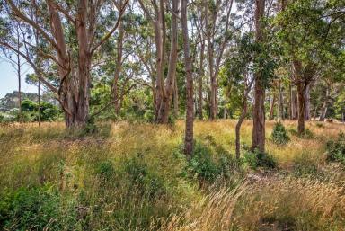 Residential Block For Sale - TAS - Strahan - 7468 - Endless Opportunity at the Gateway to Strahan  (Image 2)