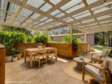 House For Sale - NSW - Long Beach - 2536 - Looking for Something Truly Unique? Cathedral Ceilings, 4.2 acres-2mins to the Beach !  (Image 2)