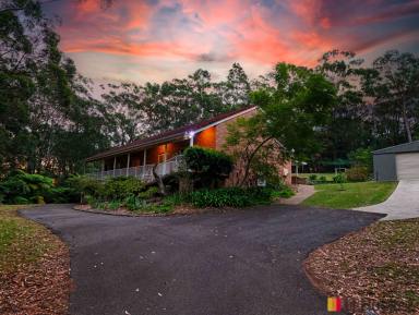 House For Sale - NSW - Long Beach - 2536 - Looking for Something Truly Unique? Cathedral Ceilings, 4.2 acres-2mins to the Beach !  (Image 2)