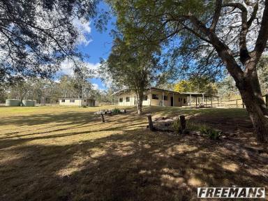 Acreage/Semi-rural For Sale - QLD - Nanango - 4615 - Roomy Home + Granny Flat on 69 Acres!* (Image 2)
