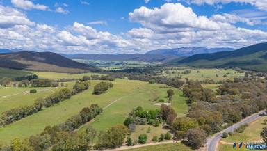 Mixed Farming For Sale - VIC - Myrtleford - 3737 - 4-Bed Mudgegonga Home, Productive Land & Excellent Dam  (Image 2)