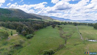 Mixed Farming For Sale - VIC - Myrtleford - 3737 - 4-Bed Mudgegonga Home, Productive Land & Excellent Dam  (Image 2)