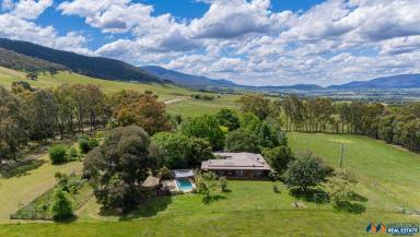 Mixed Farming For Sale - VIC - Myrtleford - 3737 - 4-Bed Mudgegonga Home, Productive Land & Excellent Dam  (Image 2)