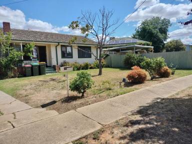 House Sold - NSW - Ashmont - 2650 - INVESTORS, THIS IS FOR YOU!  (Image 2)