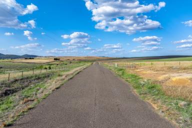 Lifestyle For Sale - NSW - Goulburn - 2580 - Sooley Plains at Goulburn
Rare Large-Scale Landholding with Approved Development Upside
Complete holding ( offered as a whole ) (Image 2)