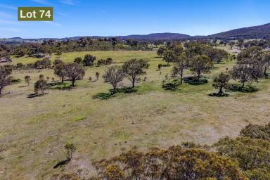 Lifestyle For Sale - NSW - Goulburn - 2580 - Rural allotments from 16 Ha - 92 Ha | Goulburn, NSW  (Image 2)