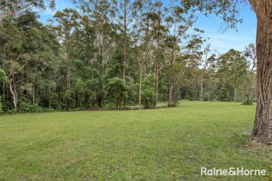 Other (Rural) For Sale - NSW - Falls Creek - 2540 - Wow on Woollamia Road!  (Image 2)