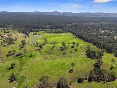 Residential Block For Sale - QLD - Corella - 4570 - Rural Living Close to Gympie City  (Image 2)