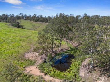 Residential Block For Sale - QLD - Corella - 4570 - Rural Living Close to Gympie City  (Image 2)
