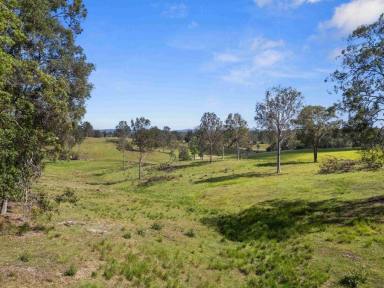 Residential Block For Sale - QLD - Corella - 4570 - Lifestyle acreage close to Gympie City  (Image 2)