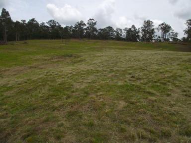 Residential Block For Sale - QLD - Corella - 4570 - Lifestyle acreage close to Gympie City  (Image 2)