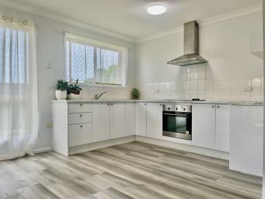 House For Lease - NSW - Casino - 2470 - Freshly Renovated - Ready To Go!  (Image 2)