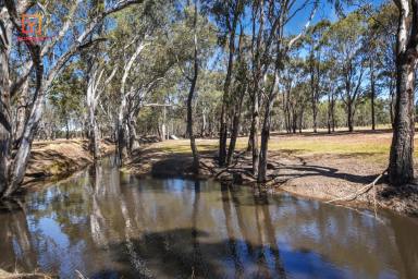 House Auction - VIC - Violet Town - 3669 - Lifestyle Opportunity – 5.85 hectares – Creek Backdrop 3 Bedrooms + Study – Large (12m x 18m) Workshop  (Image 2)