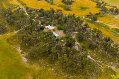 Livestock For Sale - VIC - Stradbroke - 3851 - A Private 557-Acre Grazing & Lifestyle Holding on Five Titles, Minutes from Sale (Image 2)