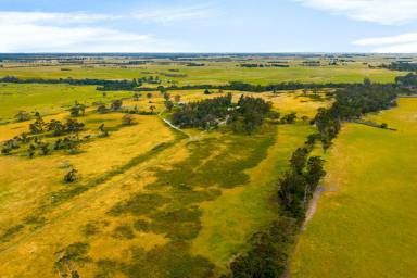 Livestock For Sale - VIC - Stradbroke - 3851 - A Private 557-Acre Grazing & Lifestyle Holding on Five Titles, Minutes from Sale (Image 2)