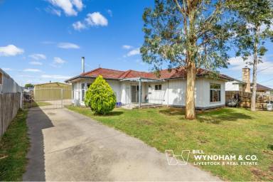 House For Sale - VIC - Bairnsdale - 3875 - Character, Comfort, and Incredible Shedding  (Image 2)
