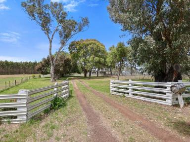 Acreage/Semi-rural For Sale - VIC - Branxholme - 3302 - Peaceful country farmlet  (Image 2)