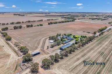Cropping For Sale - VIC - Bamawm - 3561 - LUXURY RURAL LIFESTYLE & HIGHLY PRODUCTIVE HAY FARM - A RARE OFFERING!  (Image 2)