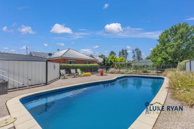 Cropping For Sale - VIC - Bamawm - 3561 - LUXURY RURAL LIFESTYLE & HIGHLY PRODUCTIVE HAY FARM - A RARE OFFERING! (Image 2)