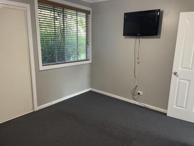 House For Lease - NSW - Blackalls Park - 2283 - 4-Bedroom Home Close to Lake & CBD  (Image 2)