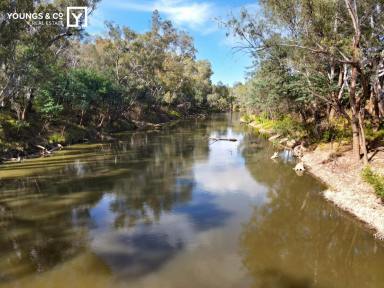 House For Sale - VIC - Mooroopna - 3629 - Rarely Offered for Sale Location - River Backdrop - "The Toorak of Mooroopna"  (Image 2)