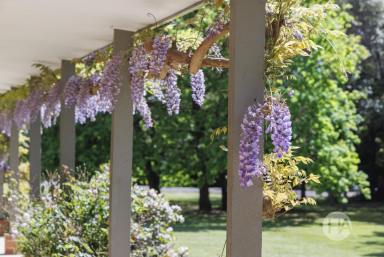 Acreage/Semi-rural For Sale - VIC - Bittern - 3918 - Distinguished Acreage with a Vineyard Backdrop  (Image 2)