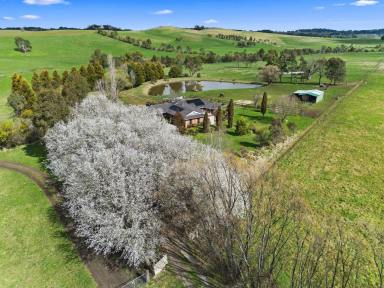 House For Sale - NSW - Werai - 2577 - "Appletreewick", Private Acreage Retreat - Price Change!  (Image 2)