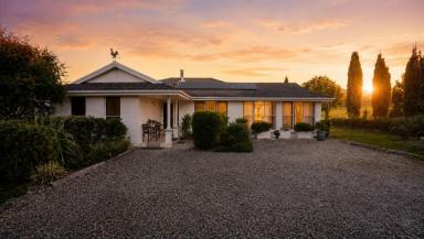 Lifestyle For Sale - NSW - Werai - 2577 - Rare Concessional Block! Check out a Real Estate Phenomenon.  (Image 2)