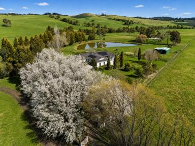 Lifestyle For Sale - NSW - Werai - 2577 - Price Reduction on Rare Concessional Block. Don't Miss this Opportunity!  (Image 2)