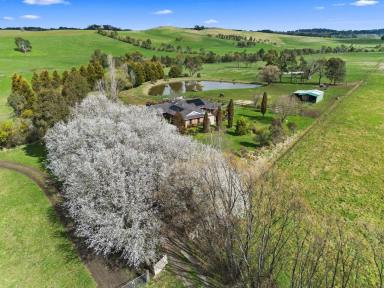 Lifestyle For Sale - NSW - Werai - 2577 - Private Country Escape on 4.94 Acres Renovated Home, Horse Paddocks & Southern Highlands Serenity  (Image 2)
