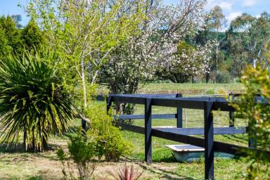 House For Sale - NSW - Werai - 2577 - "Appletreewick", Private Acreage Retreat at the End of Bibby's Lane  (Image 2)