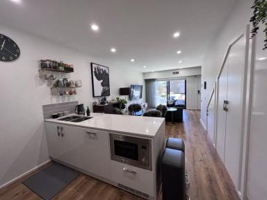 Townhouse Leased - ACT - Throsby - 2914 - Modern 3 Bedroom Home with Large Private Courtyard  (Image 2)