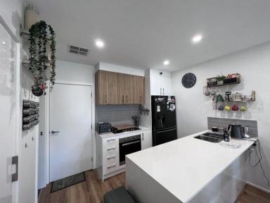 Townhouse For Lease - ACT - Throsby - 2914 - Modern 3-Bedroom Townhouse with Large Private Courtyard & 2 Parking Spaces Throsby  (Image 2)