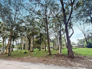 Residential Block Sold - QLD - Macleay Island - 4184 - Elevated, Sandy-Soil Block in a Quiet, Tree-Lined Street  (Image 2)