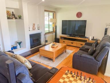 House For Lease - NSW - Cedar Party - 2429 - Country Family Home Retreat is all yours!  (Image 2)