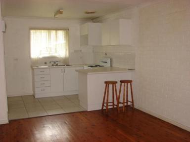 Flat For Lease - NSW - Muswellbrook - 2333 - CENTRAL LOCATION THIS TIDY RESIDENTIAL FLAT  (Image 2)