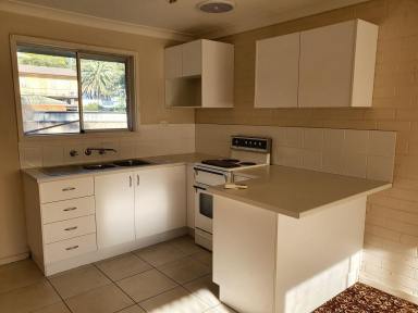 Flat For Lease - NSW - Muswellbrook - 2333 - CENTRAL LOCATION THIS TIDY RESIDENTIAL FLAT  (Image 2)