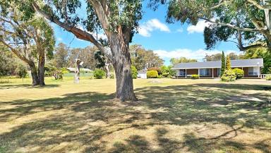 House Sold - TAS - Wesley Vale - 7307 - UNDER CONTRACT - "ROALANVALE" - Spacious Family Living on 4.6 acres (1.865 hectares)  (Image 2)