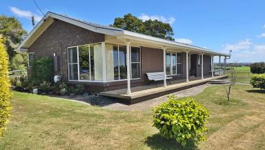 House For Sale - TAS - Wesley Vale - 7307 - "ROALANVALE" - Spacious Family Living on 4.6 acres (1.865 hectares)  (Image 2)