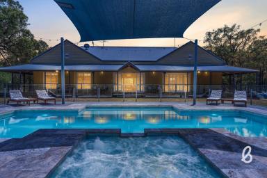 Other (Rural) Auction - NSW - Singleton - 2330 - "CLONDARA" | Lifestyle. Income. Escape.  (Image 2)