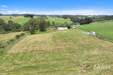 Lifestyle For Sale - VIC - Neerim South - 3831 - Creekside acreage with rustic charm, serious shedding & space to roam (approx. 22 acres) (Image 2)
