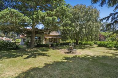 Lifestyle Auction - VIC - Bostocks Creek - 3260 - A Country Classic Awaiting Its Next Chapter  (Image 2)