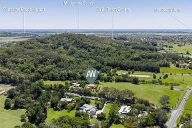 Acreage/Semi-rural For Sale - QLD - Bli Bli - 4560 - Truly Beautiful Gem - 13 Acres in the Heart of Bli Bli!  (Image 2)
