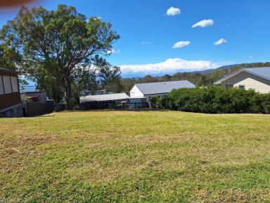 Residential Block For Sale - NSW - Coomba Park - 2428 - DREAMING OF A COASTAL LIFESTYLE?  (Image 2)