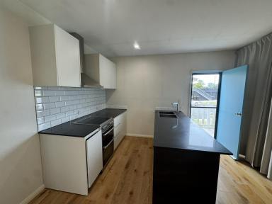 House For Lease - NSW - South Grafton - 2460 - MODERN HOME IN PRIME SOUTH GRAFTON LOCATION  (Image 2)