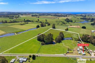 House For Sale - TAS - Natone - 7321 - Rural Lifestyle with Space to Spare – 48 Lottah Road, Natone  (Image 2)