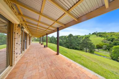 House For Sale - QLD - Cooroy - 4563 - Charming Colonial Home on Picturesque Acreage in Cooroy  (Image 2)