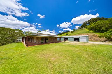 House For Sale - QLD - Cooroy - 4563 - Charming Colonial Home on Picturesque Acreage in Cooroy  (Image 2)