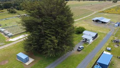 Residential Block Sold - TAS - Waratah - 7321 - Peace, Privacy & Potential in Waratah  (Image 2)